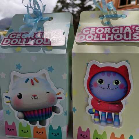 Gabby's Dollhouse Party box 