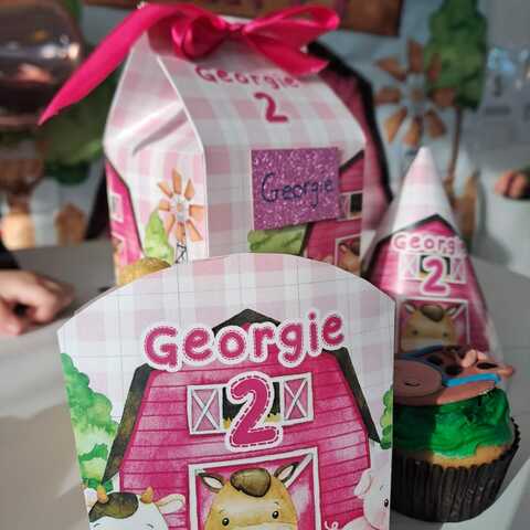 Barnyard Theme party box, hat & Popcorn Box 